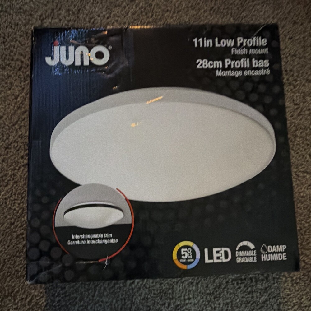 Juno 11in Low Profile LED Dimmable Flush Mount Ceiling Light, White, Damp